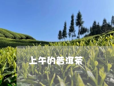 上午的普洱茶/2023042872899