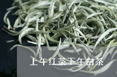 上午红茶下午白茶/2023061416250