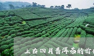 上古四月普洱茶的价格/2023072217491