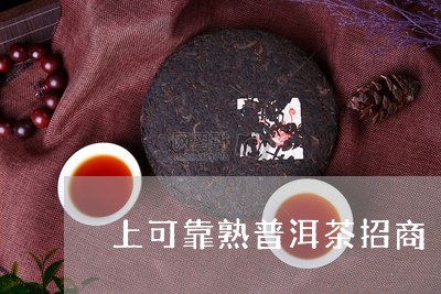 上可靠熟普洱茶招商/2023092596169