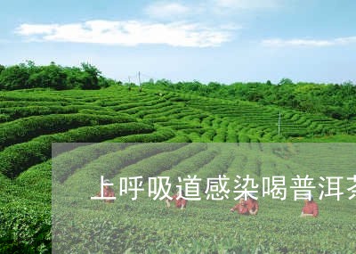 上呼吸道感染喝普洱茶/2023061860692