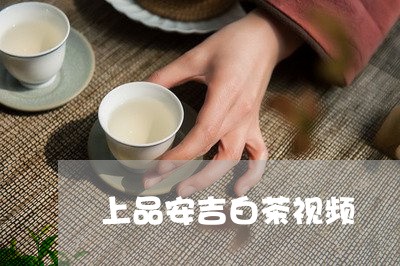 上品安吉白茶视频/2023061430672