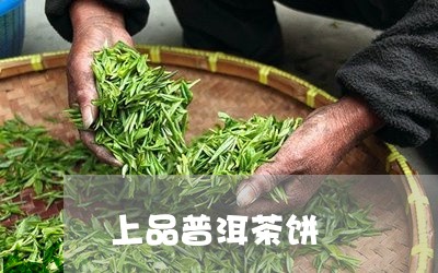 上品普洱茶饼/2023042602370