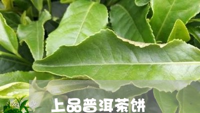 上品普洱茶饼/2023091392916