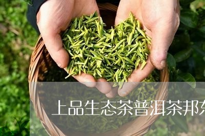 上品生态茶普洱茶邦东/2023080378282