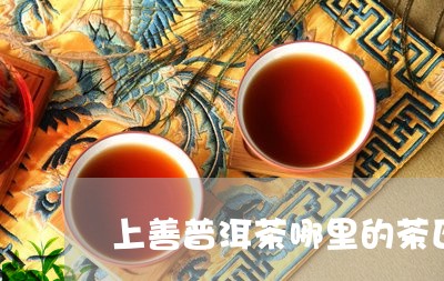 上善普洱茶哪里的茶区/2023062226058