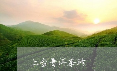 上坐普洱茶珍/2023042963607