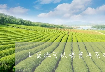 上夜班可以喝普洱茶吗/2023062465259