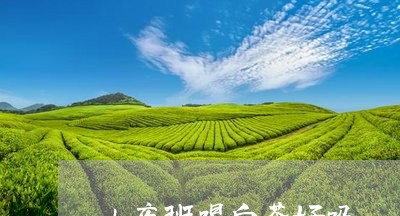 上夜班喝白茶好吗/2023061499604