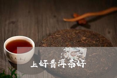 上好普洱茶好/2023042820385