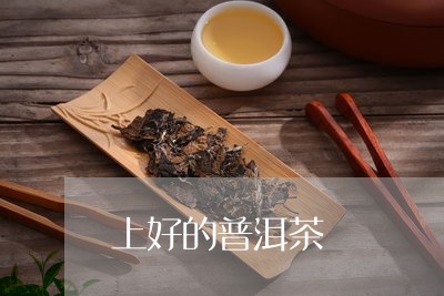 上好的普洱茶/2023042931551