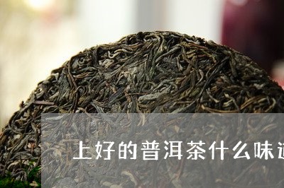 上好的普洱茶什么味道/2023080257179