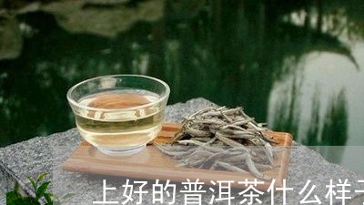 上好的普洱茶什么样子/2023073098481