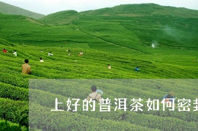 上好的普洱茶如何密封/2023100804038