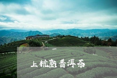 上杭熟普洱茶/2023042843058