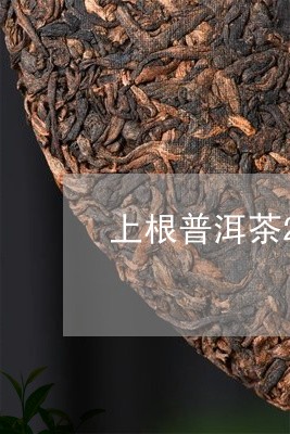 上根普洱茶2014年/2023100828148