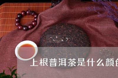 上根普洱茶是什么颜色/2023062369505