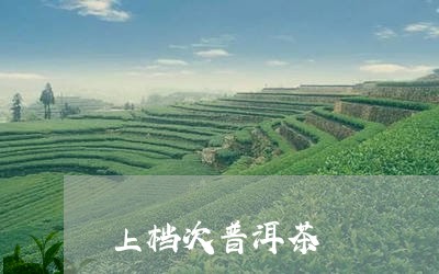 上档次普洱茶/2023042893380