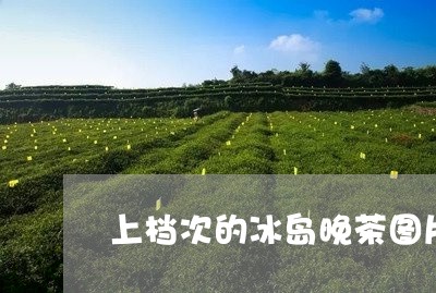 上档次的冰岛晚茶图片价格/2023051294049