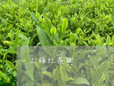 上梅红茶业/2023121960795