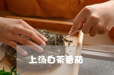 上汤白茶番茄/2023051262606