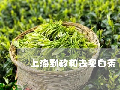 上海到政和去买白茶/2023121678369