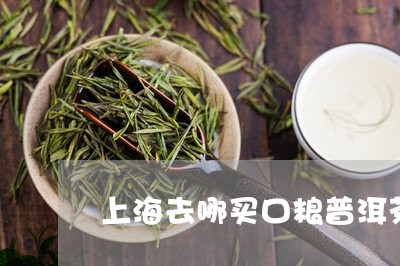 上海去哪买口粮普洱茶/2023062499475