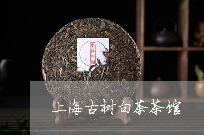 上海古树白茶茶馆/2023061408373