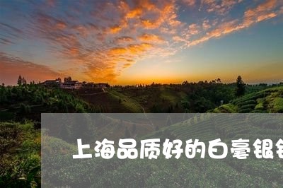 上海品质好的白毫银针/2023092615040