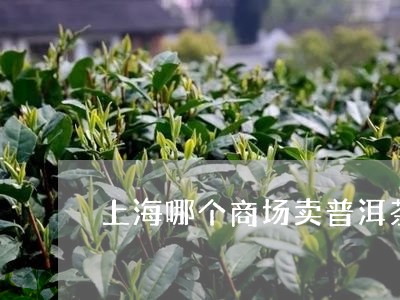 上海哪个商场卖普洱茶好/2023102471615