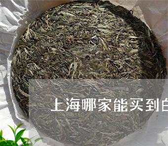 上海哪家能买到白茶/2023121693826