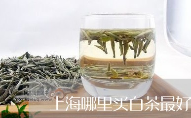 上海哪里买白茶最好/2023071484845