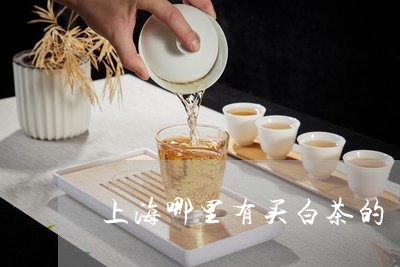 上海哪里有买白茶的/2023121688272