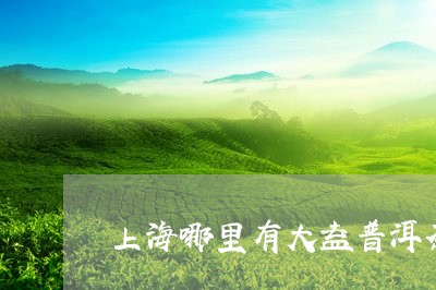 上海哪里有大益普洱茶/2023073194736