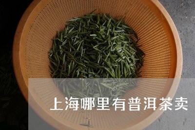 上海哪里有普洱茶卖/2023071073946