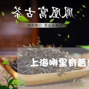 上海哪里有普洱茶卖的多/2023050526360