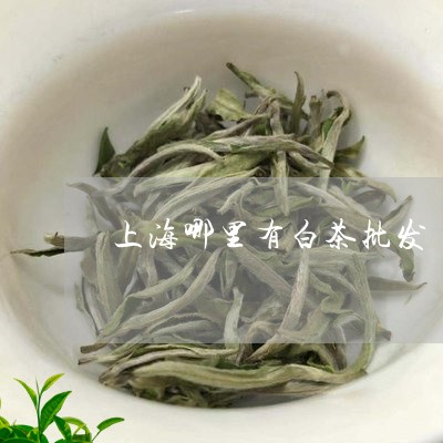 上海哪里有白茶批发/2023121625147