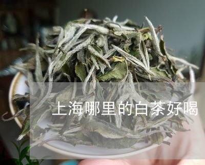 上海哪里的白茶好喝/2023121641483