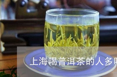 上海喝普洱茶的人多吗/2023062046058