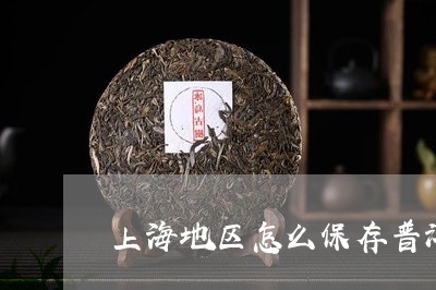 上海地区怎么保存普洱茶饼/2023082504925