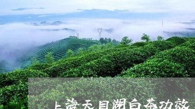 上海天目湖白茶功效/2023071431504