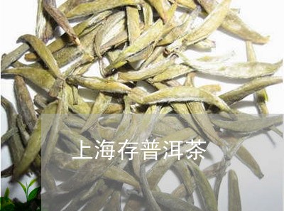 上海存普洱茶/2023042753