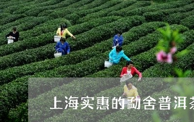 上海实惠的勐舍普洱茶/2023092920362