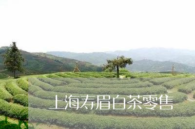 上海寿眉白茶零售/2023061453715