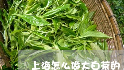上海怎么做大白茶的/2023121685968