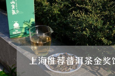 上海推荐普洱茶金奖饼/2023080104848