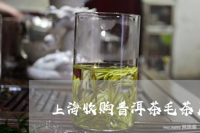 上海收购普洱茶毛茶厂电话/2023112415038