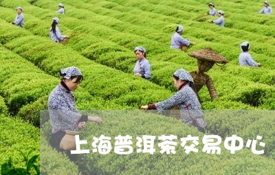 上海普洱茶交易中心/2023071191714