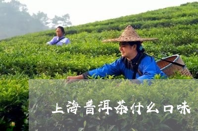 上海普洱茶什么口味/2023091403048