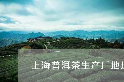 上海普洱茶生产厂地址在哪里/2023052826140